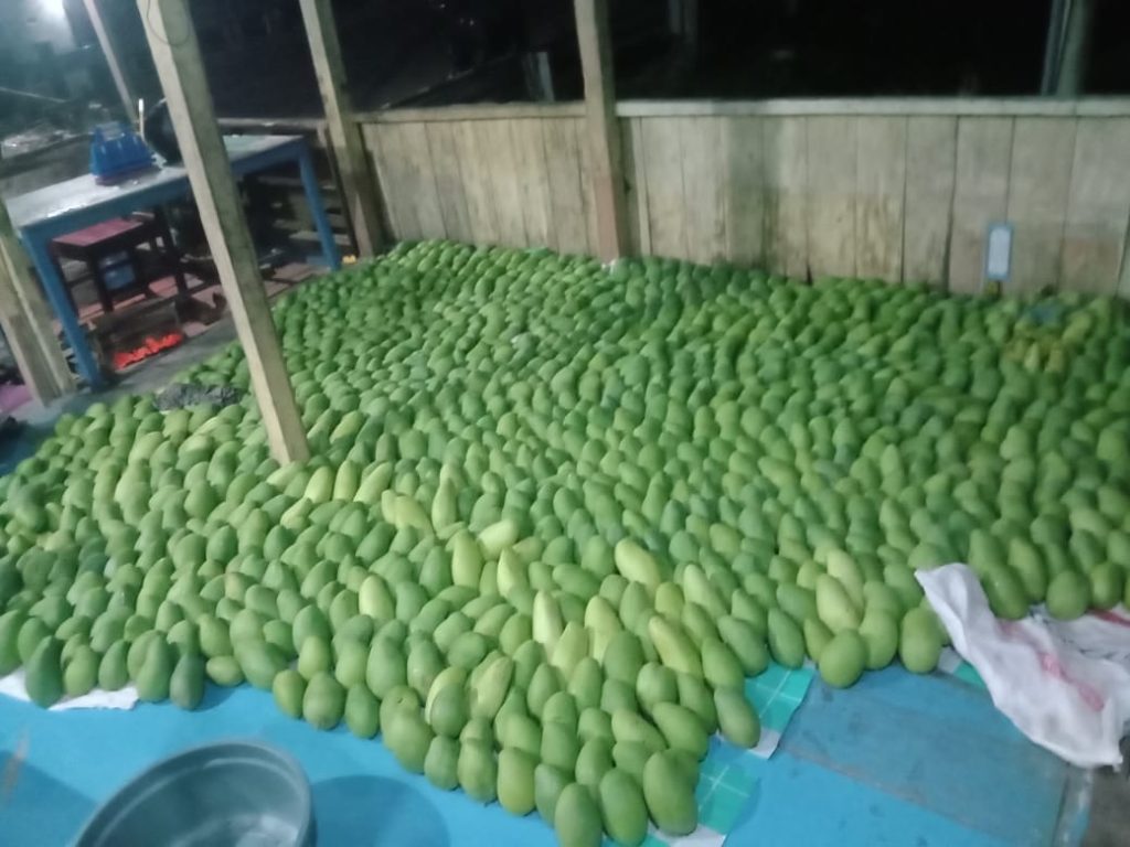 Distributor Buah dan Sayur Surabaya