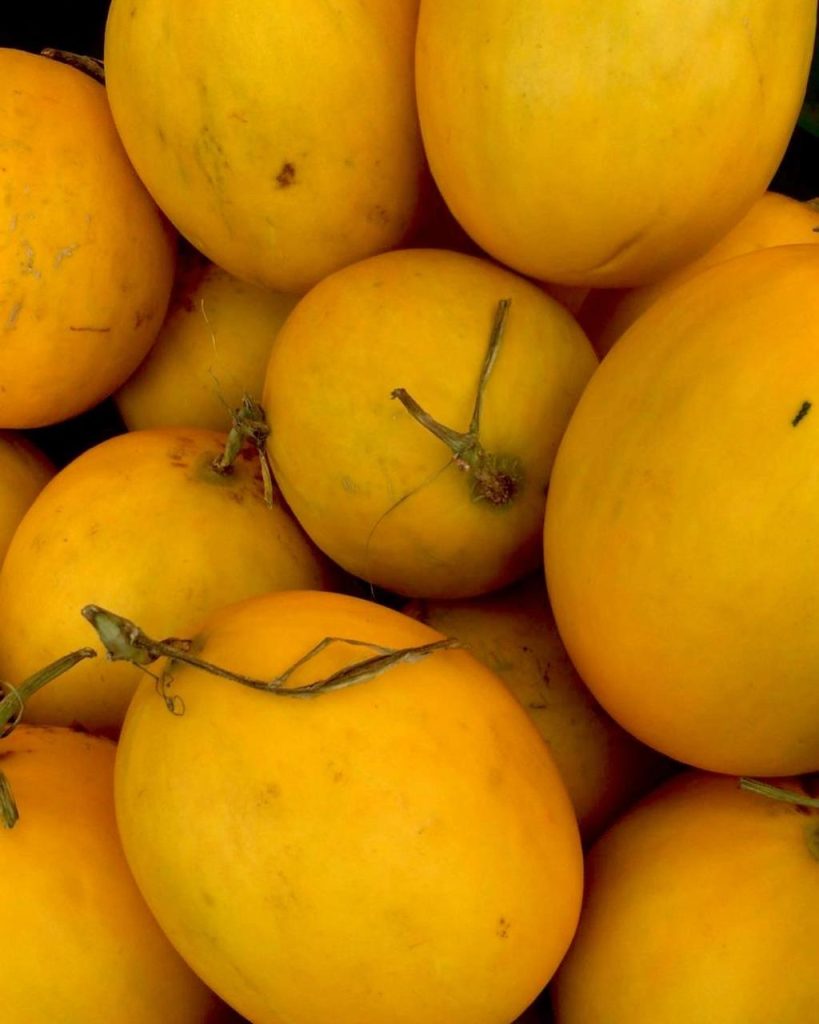 Supplier Buah dan Sayur Bekasi