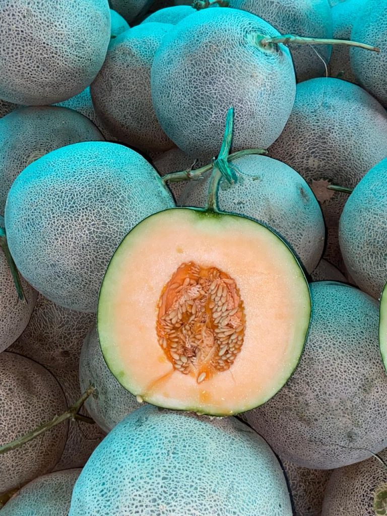 Agen Buah Berkualitas Tenggarong