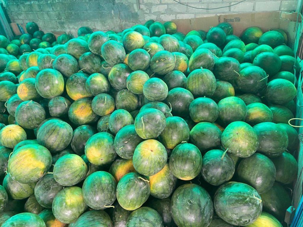 Distributor Buah dan Sayur Tangerang