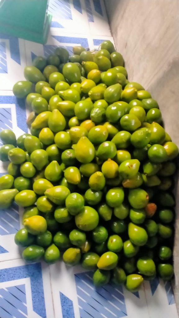 Supplier Buah Segar Berkualitas Bontang