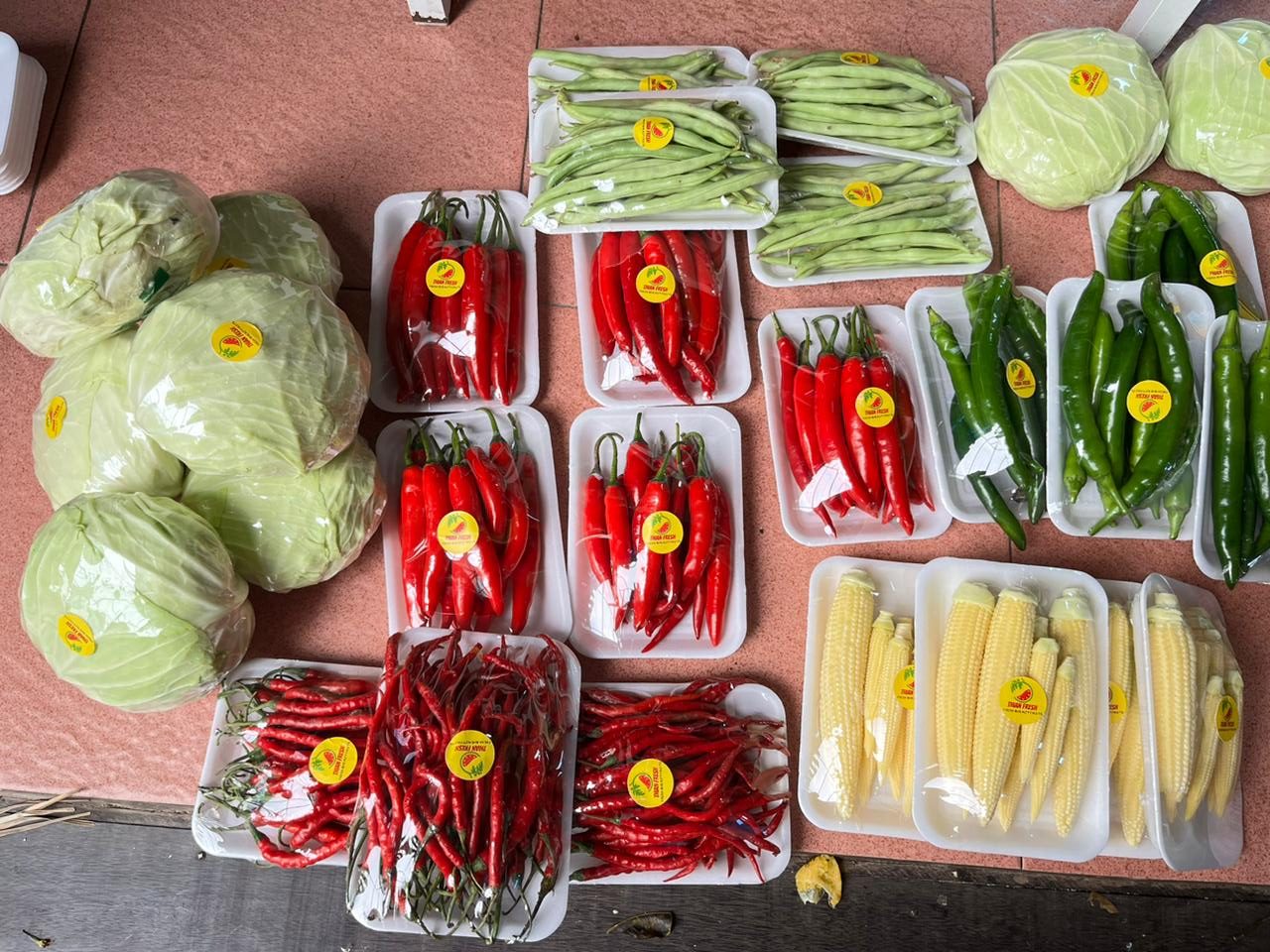 Vendor Penyedia Sayur Berkualitas Samarinda